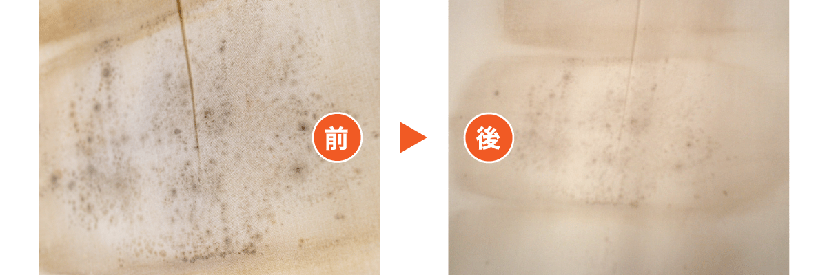 カビが発生した布団について