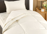 掛け肌が一体化している羽毛ふとんの料金について